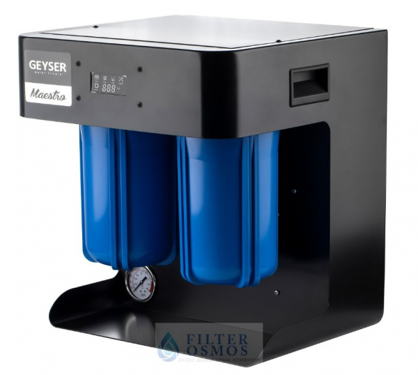 Гейзер Маэстро 4000