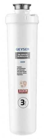 Гейзер Баскон Смарт