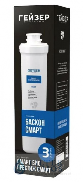 Гейзер Баскон Смарт