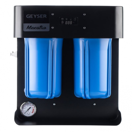 Гейзер Маэстро 4000