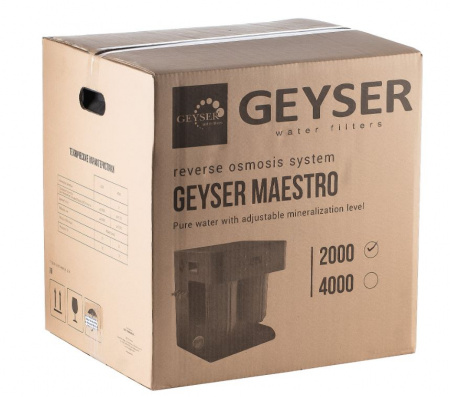 Гейзер Маэстро 2000